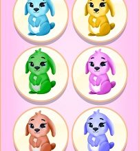 Owl And Rabbit Fashion