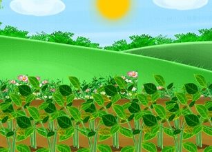 Planting And Making Of Food