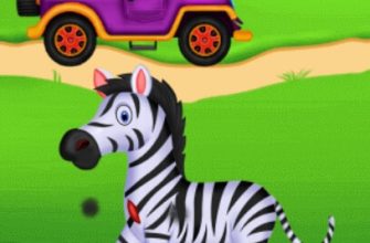 Wild Animal doctor Adventure